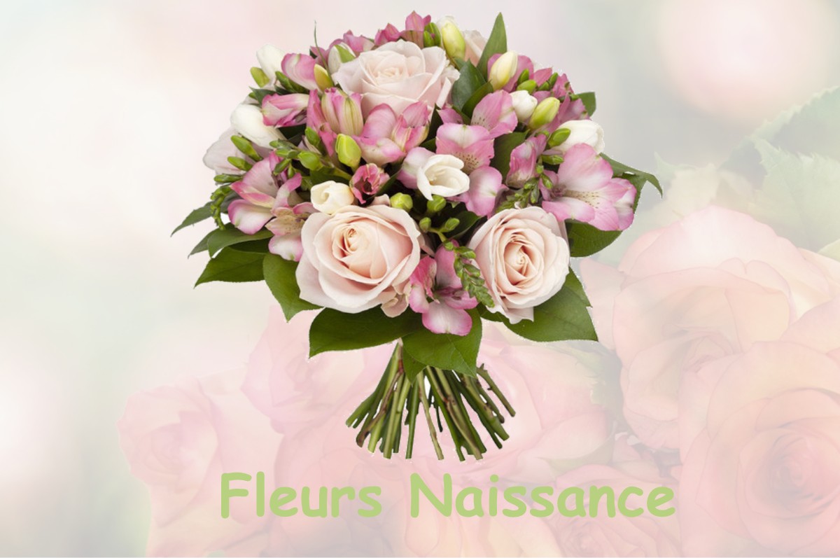fleurs naissance SAINT-JACQUES-DE-THOUARS